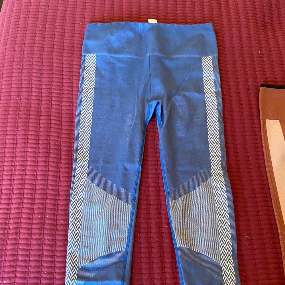 Fabletics seamless leggings